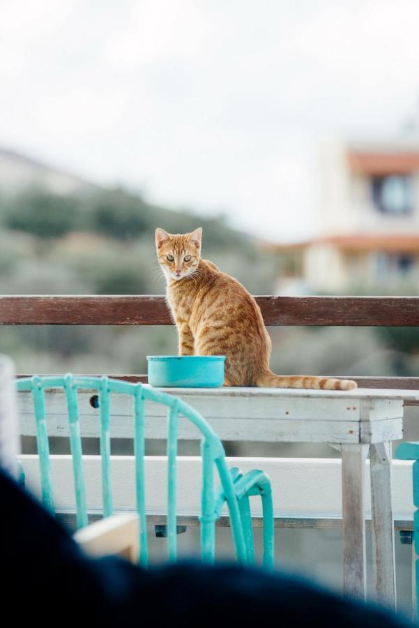 Saveriako, Paradise For Relaxed Free Spirits Villa Agia Pelagia  Luaran gambar