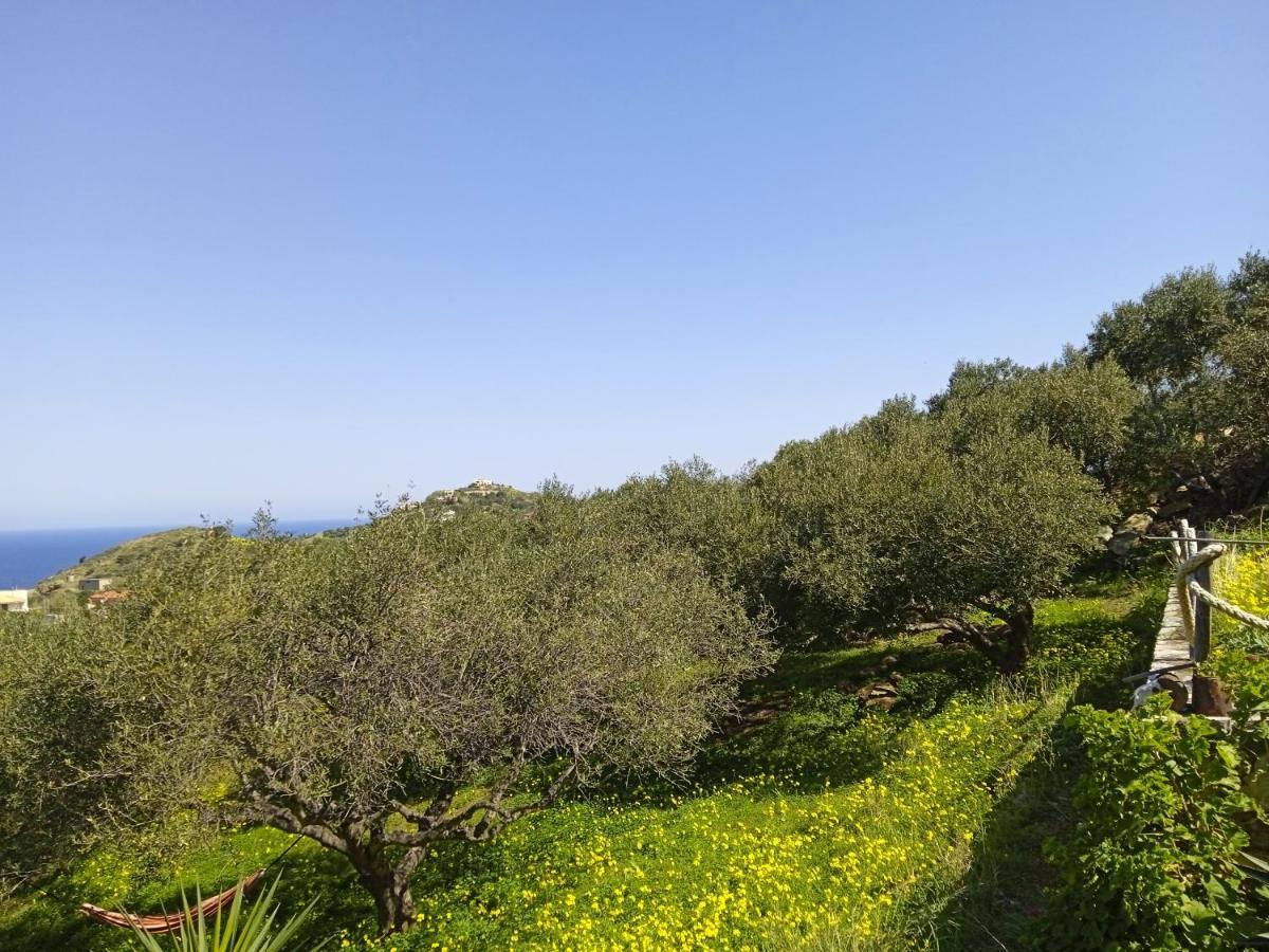 Saveriako, Paradise For Relaxed Free Spirits Villa Agia Pelagia  Luaran gambar