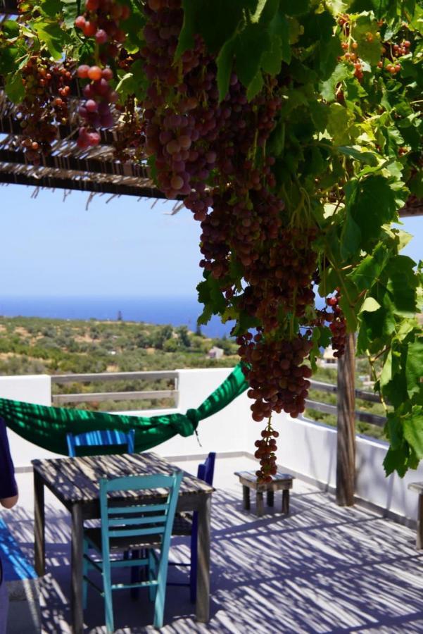 Saveriako, Paradise For Relaxed Free Spirits Villa Agia Pelagia  Luaran gambar