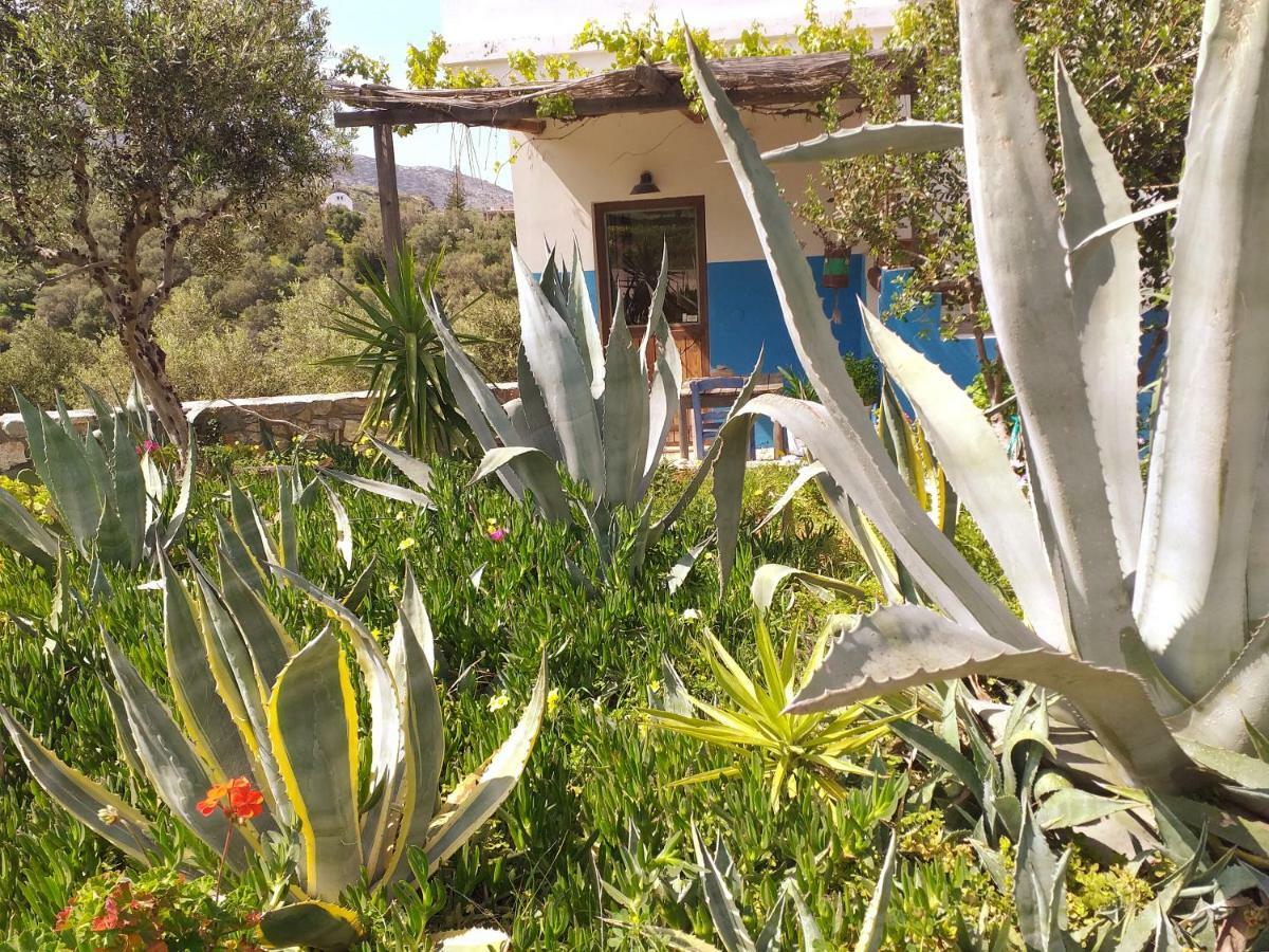 Saveriako, Paradise For Relaxed Free Spirits Villa Agia Pelagia  Luaran gambar